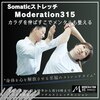 モデレーションサンイチゴ 静岡駅南店(Moderation315)ロゴ