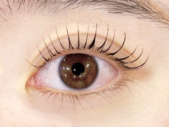 ジャンジー(Janji)の写真/まつ毛を根元から上げるぱっちりデザインからナチュラルカールなデザインまでお客様の理想の目元叶えます♪