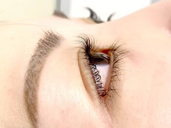 ヴィート(vito)の写真/【東花園のまつげ専門店】ナチュラルで上品な目元に◎人気No.1★ご新規様パリジェンヌ¥4,400