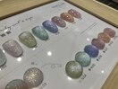マグネットカラー¥6,800