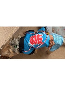 ポノサロン(pono salon)/お祭り男