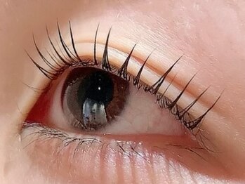 カラン 焼津店(CALIN)/ラスティングカール