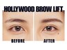 《新規・再来》【今なりたい流行り美眉】ハリウッドブロウリフト 7000円