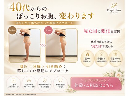 パピヨン(Papillon)の写真