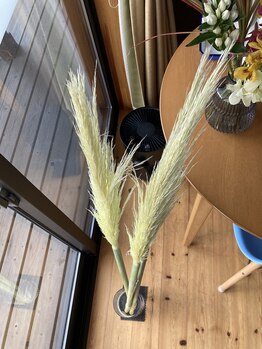 わたなべ整体院/