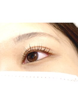 初めての方にオススメ