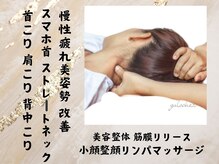 ガロシェ(galocher)/