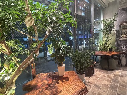 マジョルネ(Ma journee)の写真