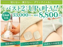 美人バスト 岡崎店