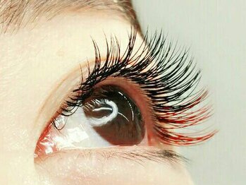 アイラッシュ ネイル エステ スイレン ビューティーサロン 錦糸町/カラーエクステ目尻