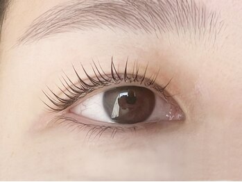 テイラー(Taylor)/上下ラッシュリフト SONE