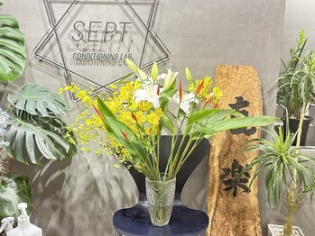 セプトきらく鍼灸整体院(Sept.)/8周年のお花です☆