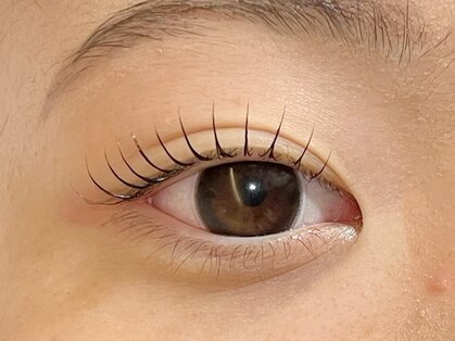 カシータ(Casita)の写真