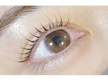 メル(me'r.)/まつ毛パーマ