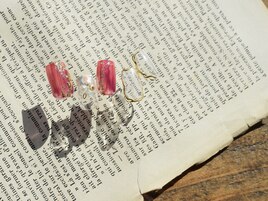 12月select(Q)6,980円/全10種