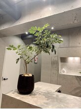 アム バイ オーキッド 代々木公園(UM by ORCHID)/エントランス☆