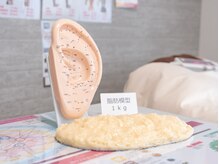 ミミィマリー 郡山店(Mimiy mary)の雰囲気(カウンセリング(90分)お客様のやせたいお悩みに寄り添います)
