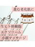 【1度で効果絶大◎】高濃度ヒト幹細胞導入+毛穴洗浄+マッサージ80分¥19000→