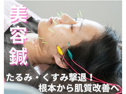 鍼灸院 はりのひとの写真