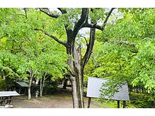 ナチュレ(Nature)の雰囲気（＼サロン目の前はパワースポット／あなただけの特別な非日常体験）