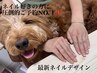 【HAND|HIROMI】韓国ネイル◎新作定額デザイン ¥8800→¥7700
