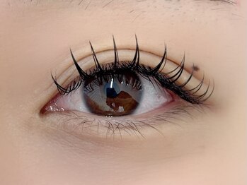 ロジー 盛岡(ROSIE)/フラットラッシュ120本