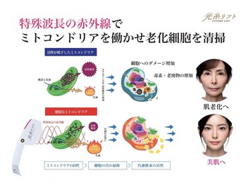 ヘルディン(heldin +555)/体に溜まった不要なものを除去