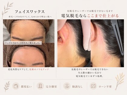 はなさくら あざみ野店の写真