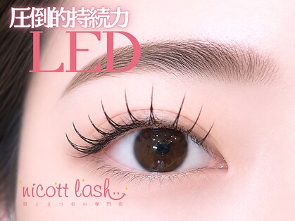 ニコットラッシュ 難波店(nicott lash)の写真