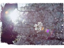 リモデ(Re MODE)/桜の時期は春バテに注意！