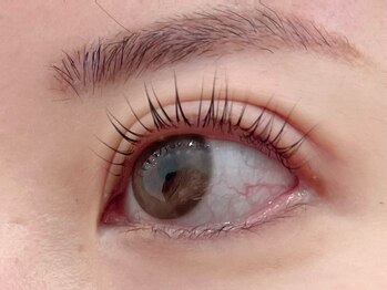 ティンク 横須賀中央店(Tink)/まつげパーマ