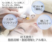 ドアディ(Doordie)