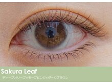 シュールシル 日本橋店(SourCil)/サクラリーフ