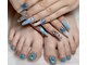 彩の写真