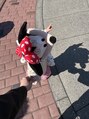デイシー ネイルアンドアイラッシュ 新宿(deicy)&nbsp;Disneyだいすきです＊
