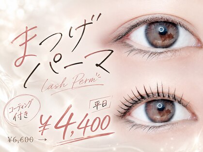 リル(rille)の写真