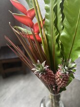 ブラックボックス(BLACK BOX)/BLACKBOXのお花