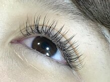 アンベリール 武庫之荘(Embellir)/セーブルラッシュDカール/180本