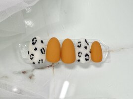 ベーシック定額アート