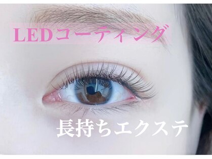 ショコラの写真