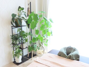 りらくぜーしょん ふぅの写真/【完全個室でゆったり】人目を気にせず過ごせる癒しの時間