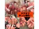 ダグネイル 宇都宮店(Dugh nail)の写真