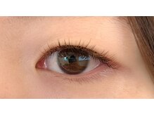 アンの家/ダークブラウン×夜桜