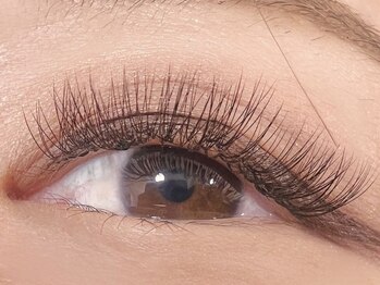 エニーラッシュ(ANYLASH)/極柔ボリュームラッシュ110束！