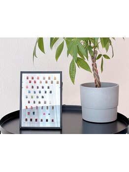 カラーエクステがあるサロン