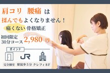 シカ(CICA)