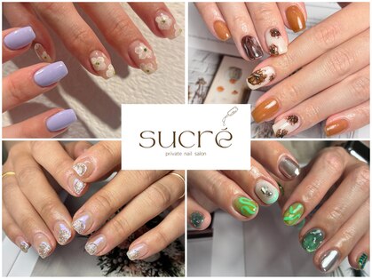 シュクレ(sucre)の写真