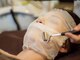 ナチュラルサロン ツリー(NATURAL SALON TREE)の写真/《クリアな透明肌》GET♪イオン導入でお肌の奥深くに高保湿の有効成分を浸透し紫外線からお肌をバリア！