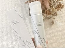 シードリン(Seedling)/クイックモーニング