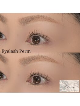 Total Beauty Salon Luana/まつ毛パーマ